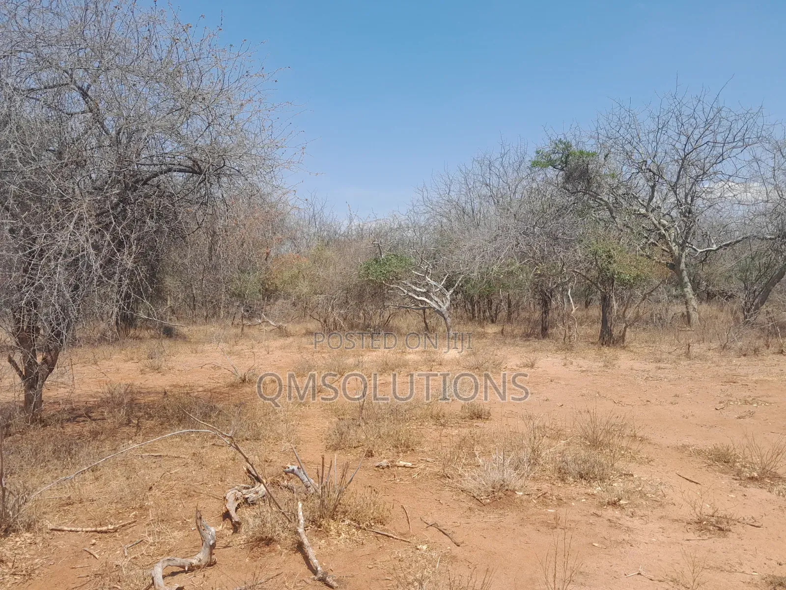 Agricultural Land for Sale Idea for Ranches in Zombe/Mwitika