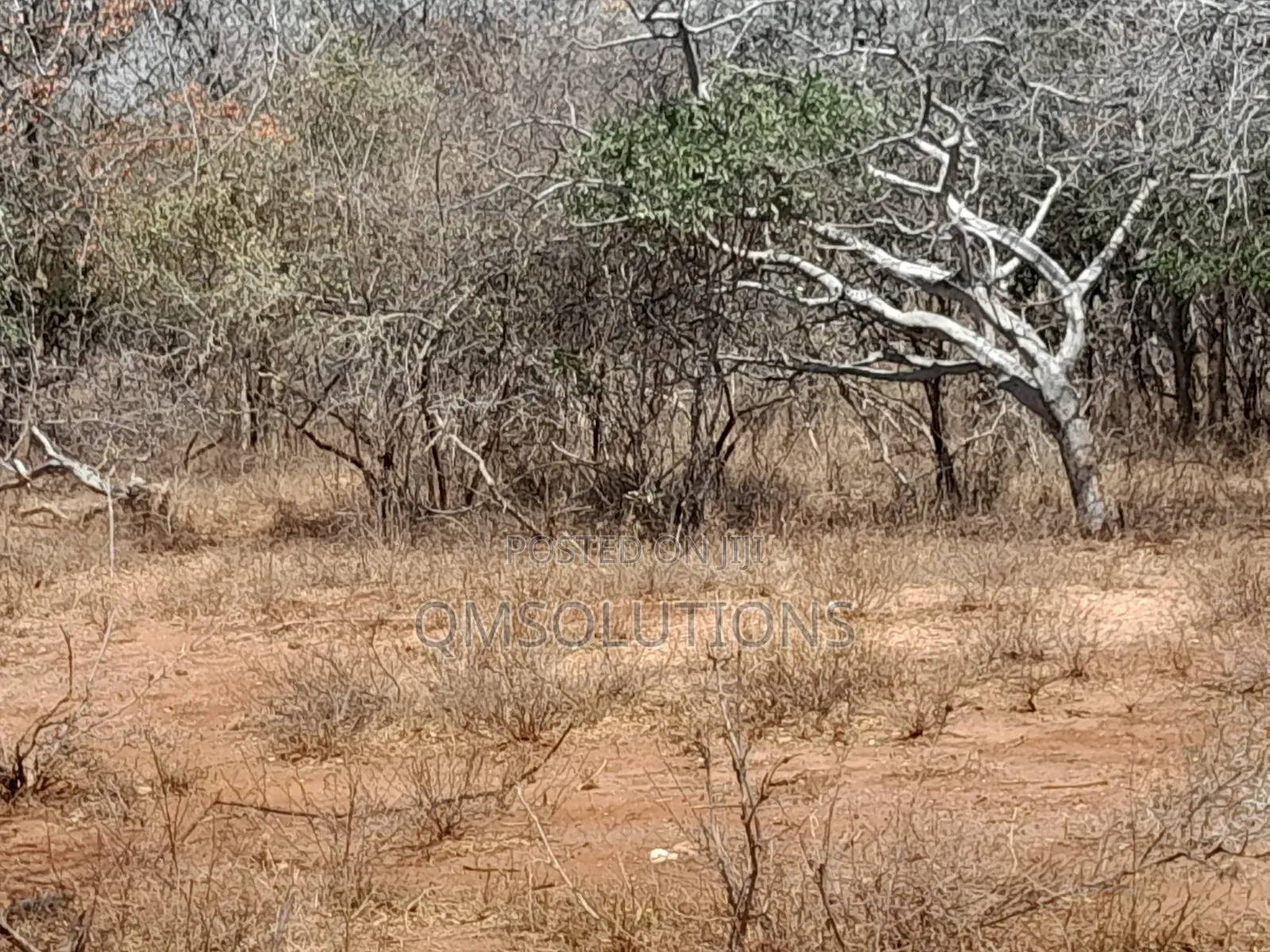 Agricultural Land for Sale Idea for Ranches in Zombe/Mwitika