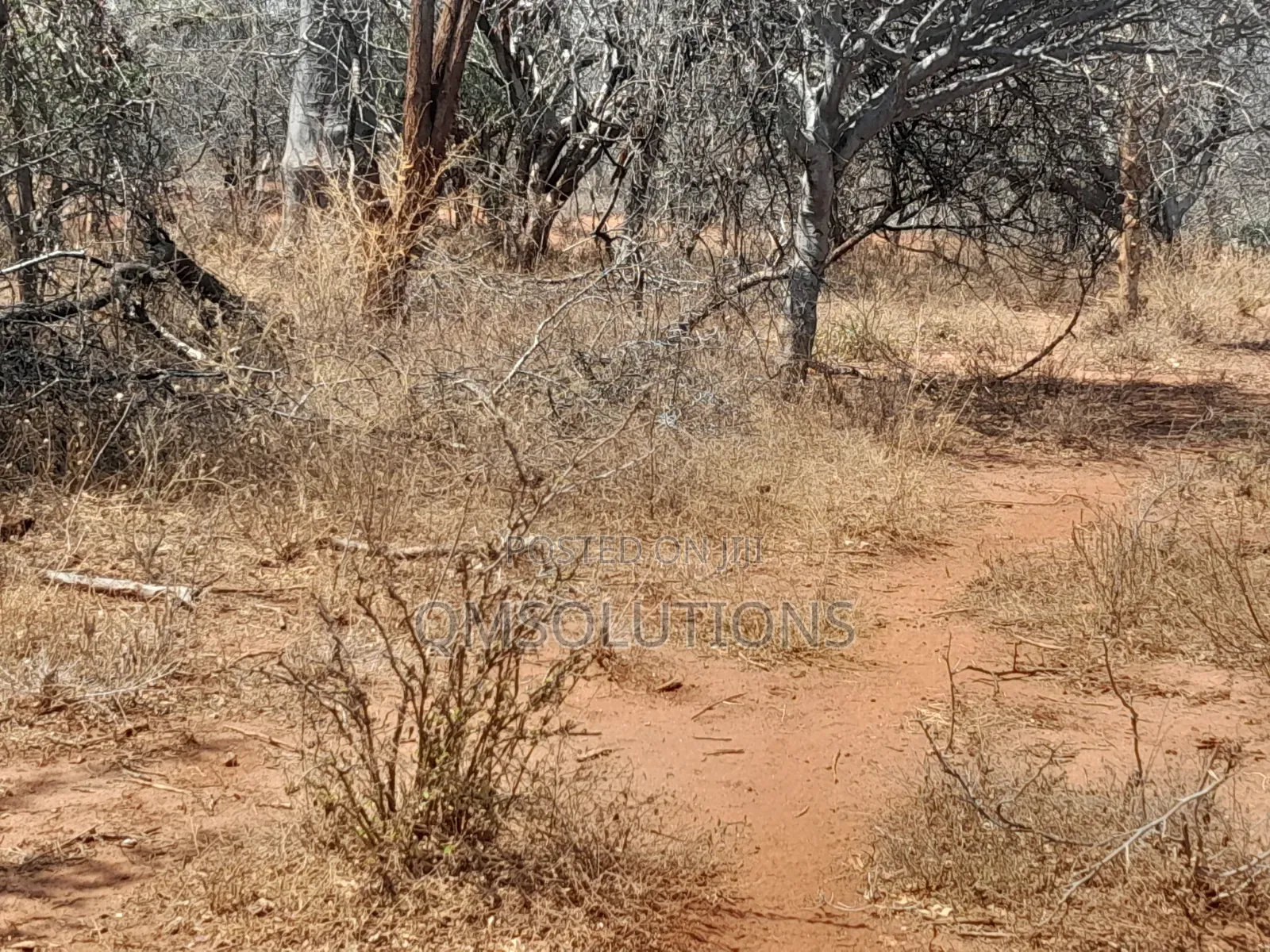 Agricultural Land for Sale Idea for Ranches in Zombe/Mwitika