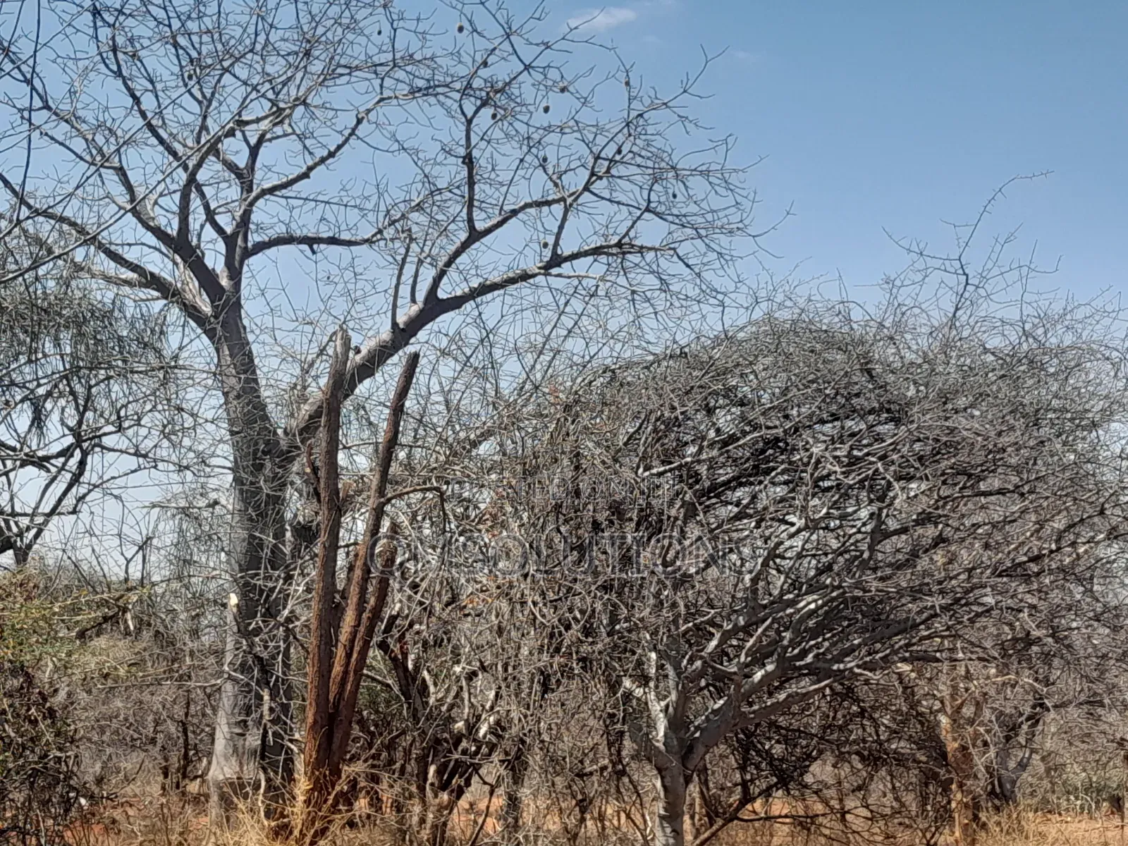 Agricultural Land for Sale Idea for Ranches in Zombe/Mwitika