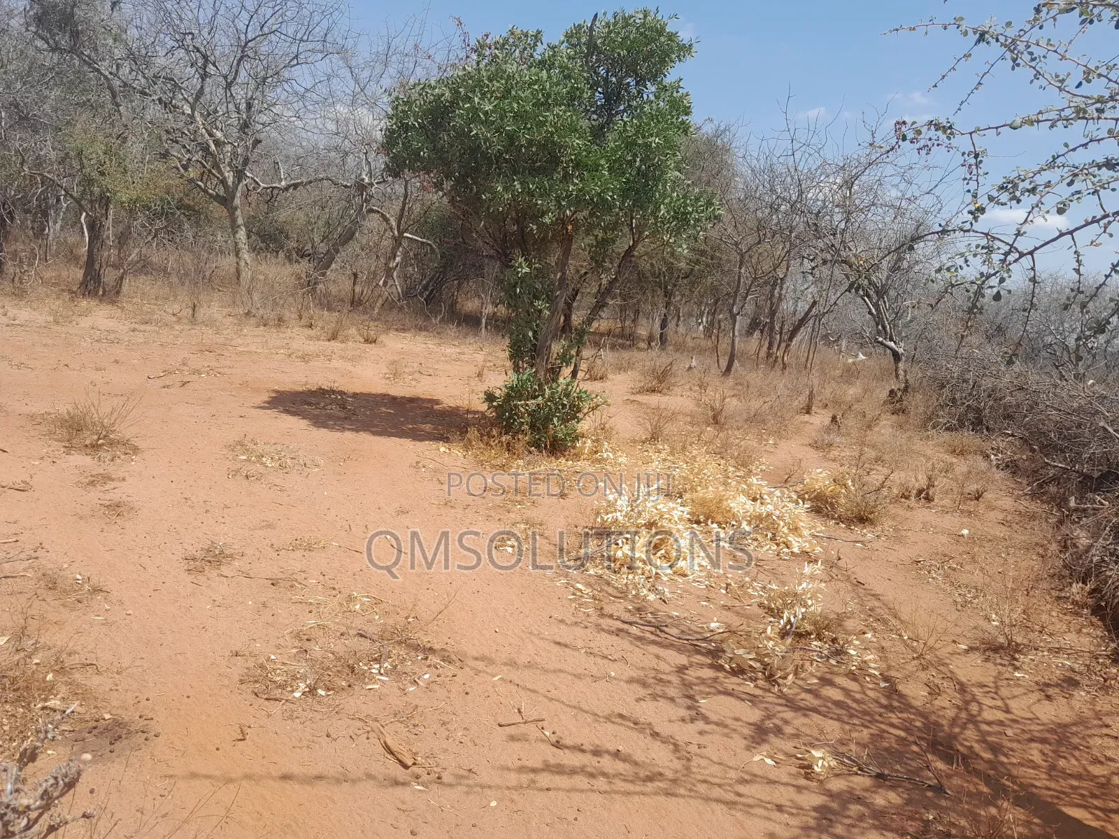 Agricultural Land for Sale Idea for Ranches in Zombe/Mwitika