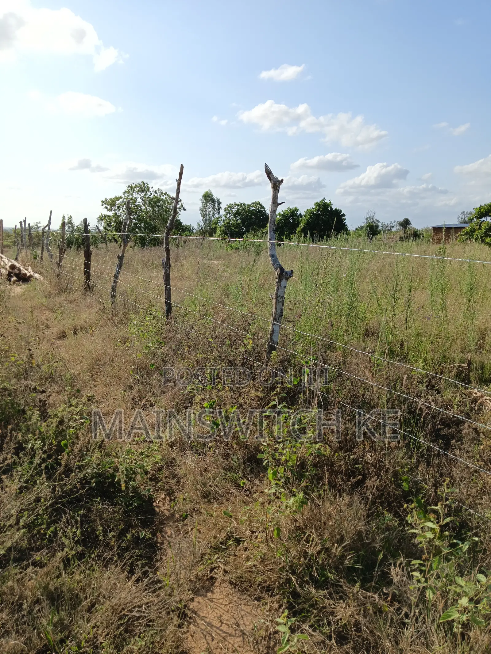 Urgent Sell 50 Acres in Marafa