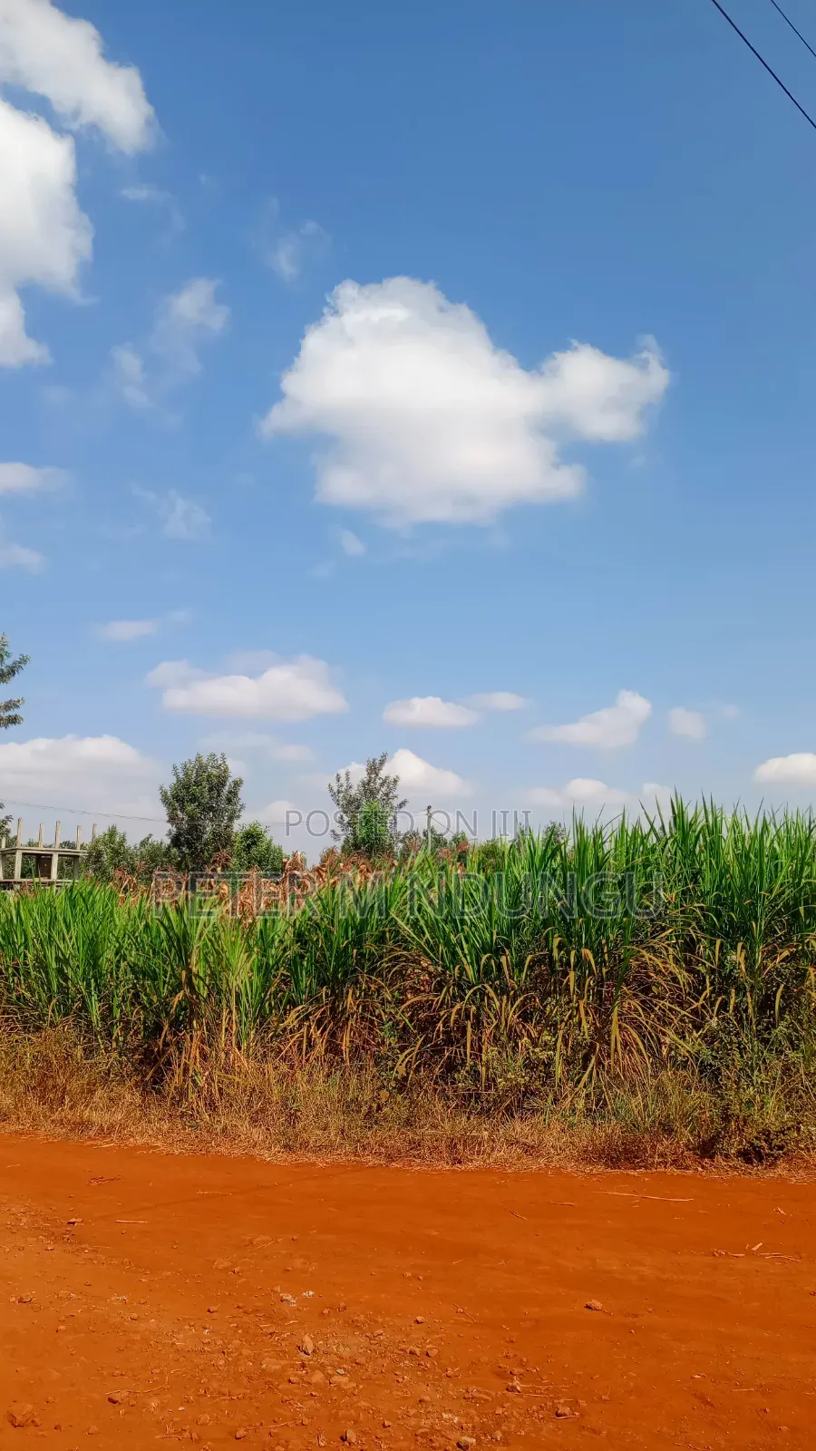 Ruiru Mugutha- Prime 1/2 Acre, Corner Plot Ideal for Home, Subdivision in Kiambu / Kiambu