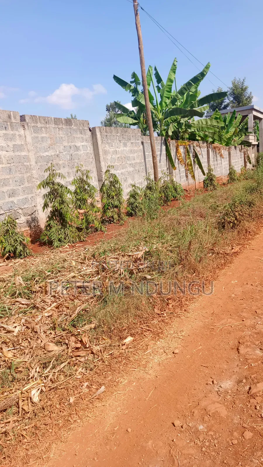 Ruiru Mugutha- Prime 1/2 Acre, Corner Plot Ideal for Home, Subdivision in Kiambu / Kiambu