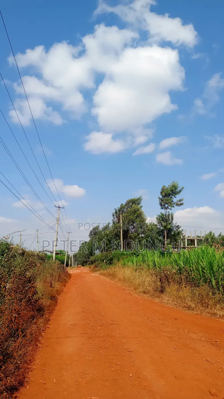 Ruiru Mugutha- Prime 1/2 Acre, Corner Plot Ideal for Home, Subdivision in Kiambu / Kiambu