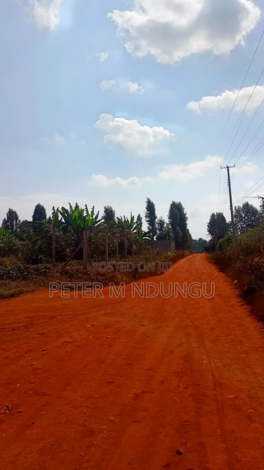 Ruiru Mugutha- Prime 1/2 Acre, Corner Plot Ideal for Home, Subdivision in Kiambu / Kiambu