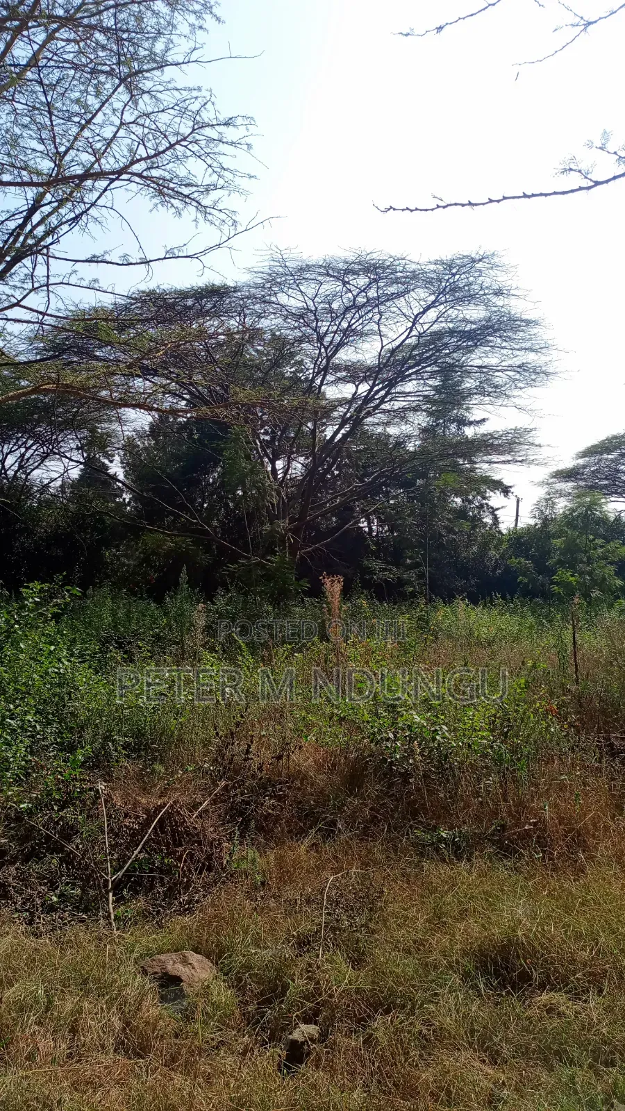 Garden Estate- 1/2 Acre Residential Plot in Kiambu / Kiambu 