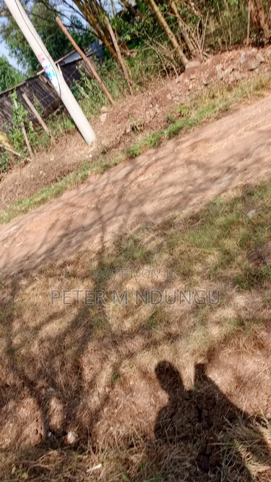Garden Estate- 1/2 Acre Residential Plot in Kiambu / Kiambu 