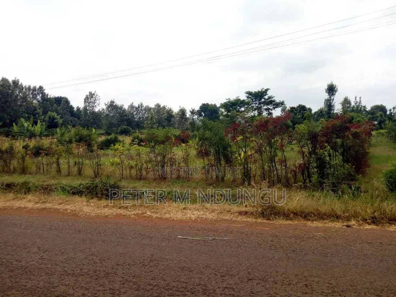 Kenol Murang'a- 1/2 Acre Prime Plots Residential/Commercial in Kiambu / Kiambu 