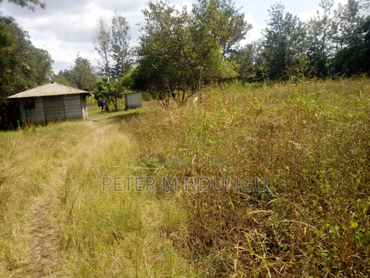 Kenol Murang'a- 1/2 Acre Prime Plots Residential/Commercial in Kiambu / Kiambu 