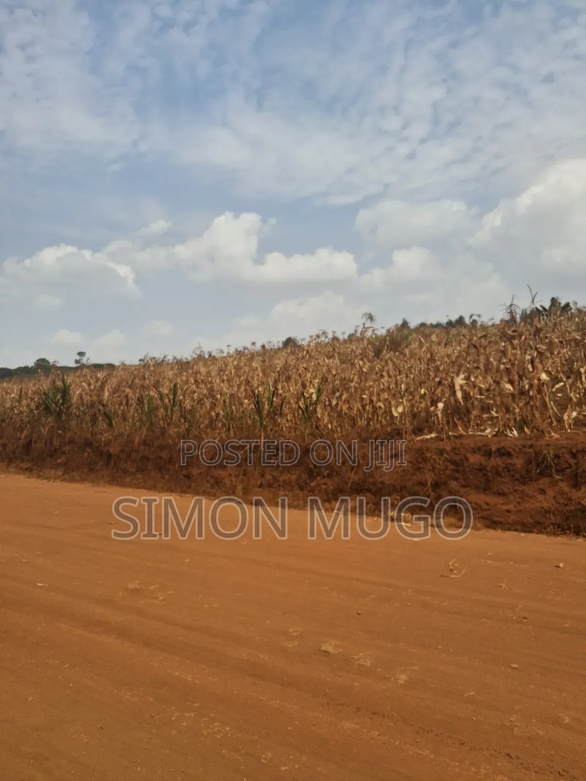 Kirigiti Ruiru Kiambu Road Prime 45 Acres in Thindigua/Kasarini