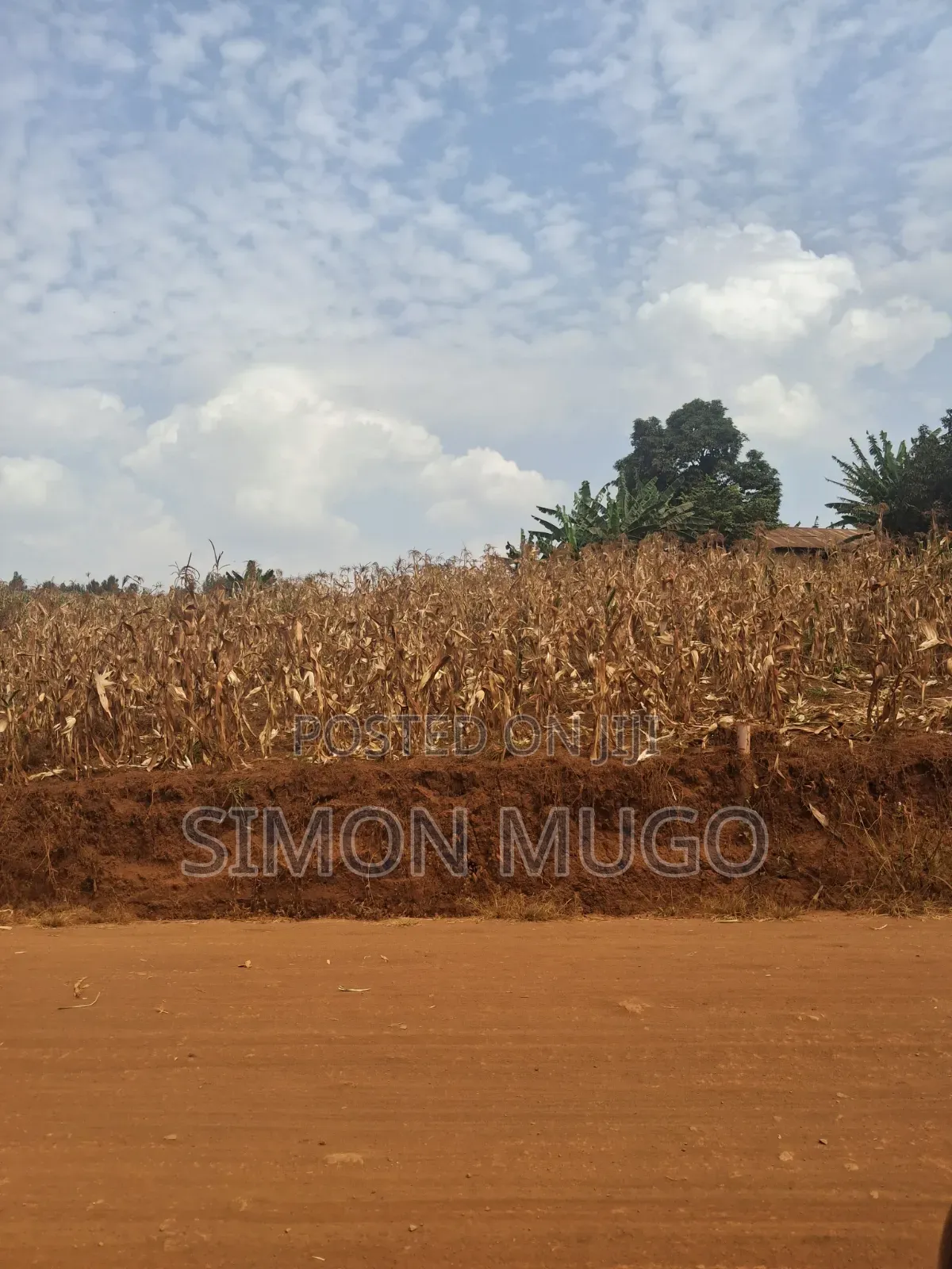 Kirigiti Ruiru Kiambu Road Prime 45 Acres in Thindigua/Kasarini