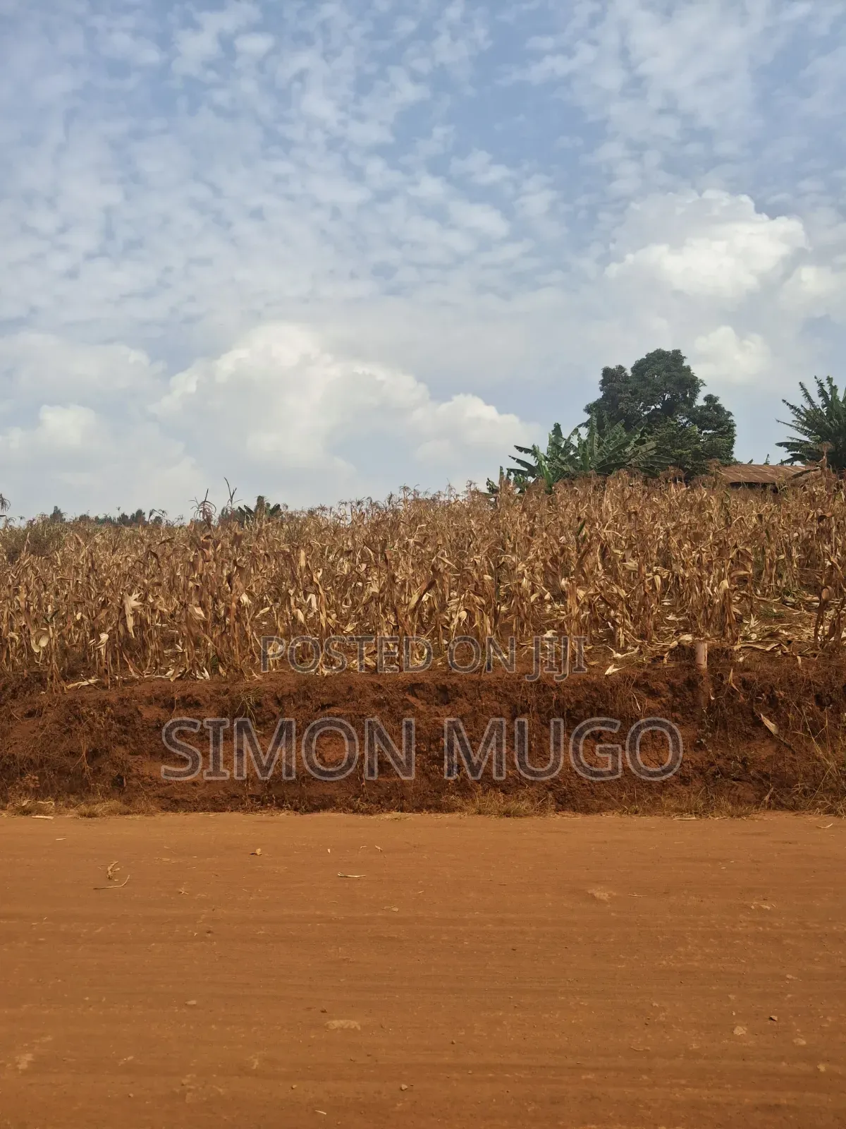 Kirigiti Ruiru Kiambu Road Prime 45 Acres in Thindigua/Kasarini