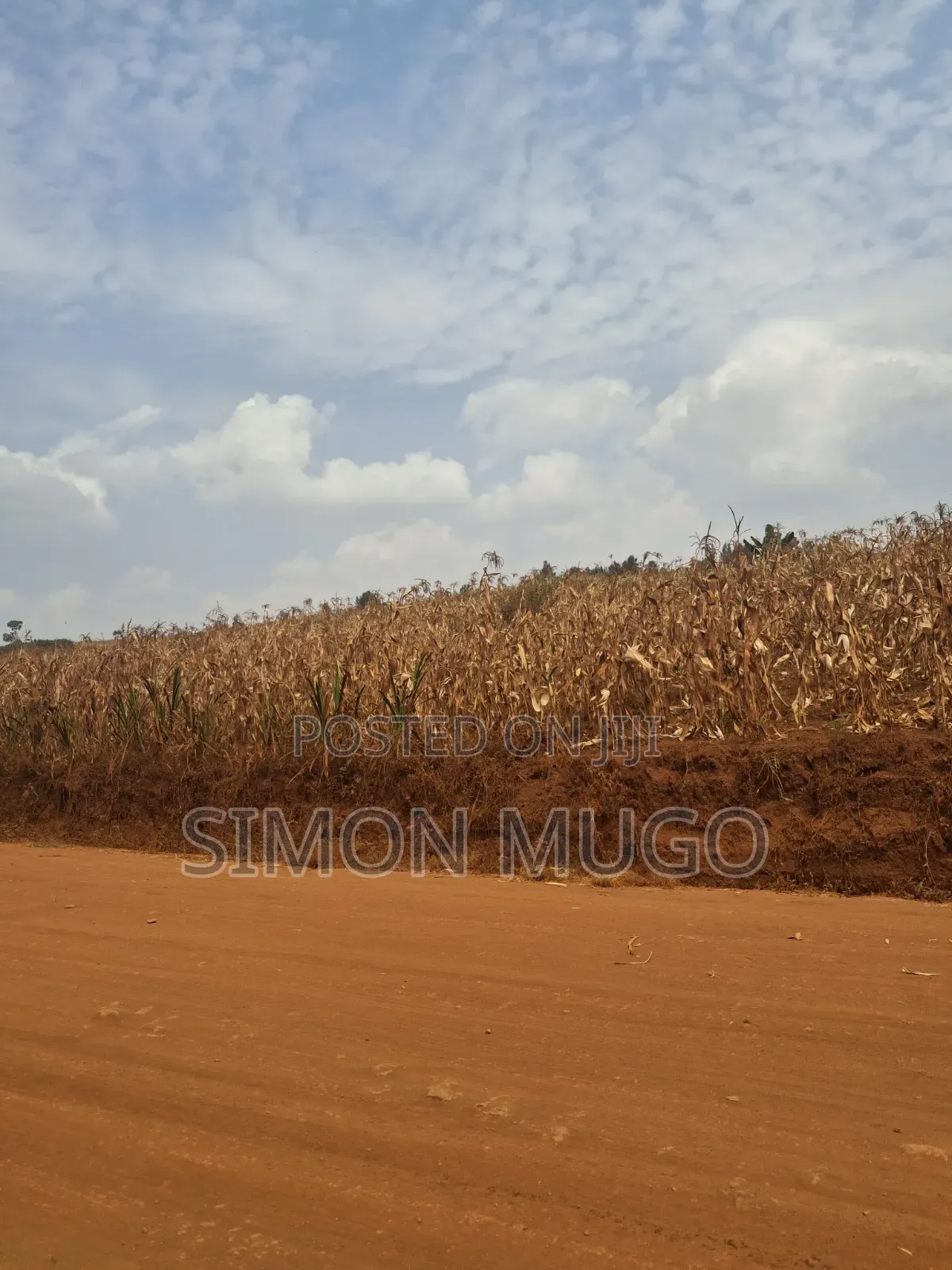 Kirigiti Ruiru Kiambu Road Prime 45 Acres in Thindigua/Kasarini