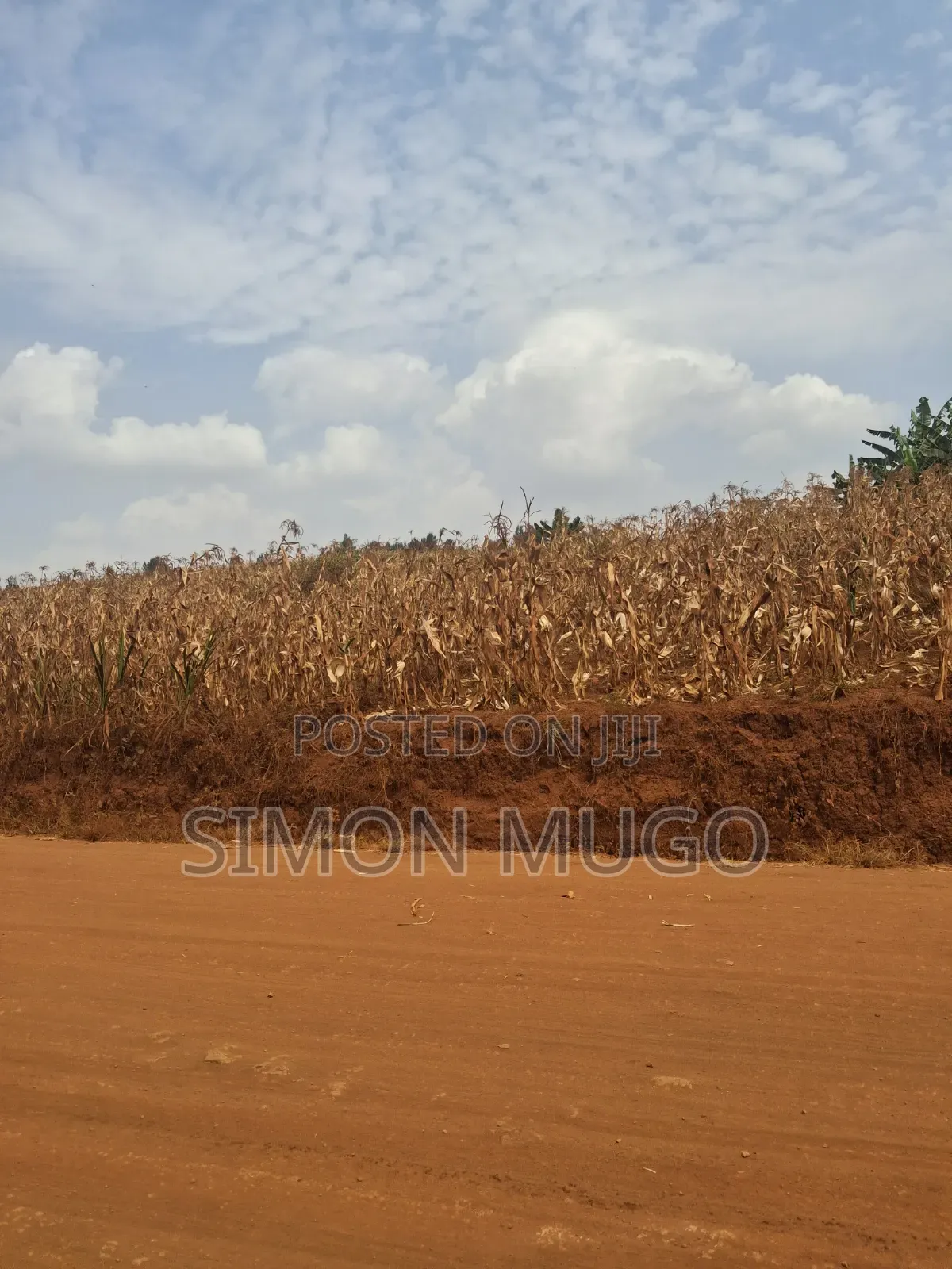 Kirigiti Ruiru Kiambu Road Prime 45 Acres in Thindigua/Kasarini