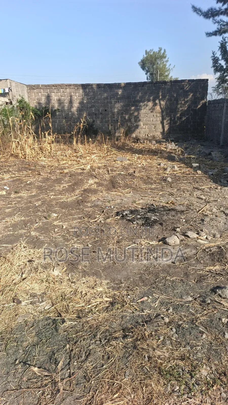 Plot for Sale at Mutalia in Malaa