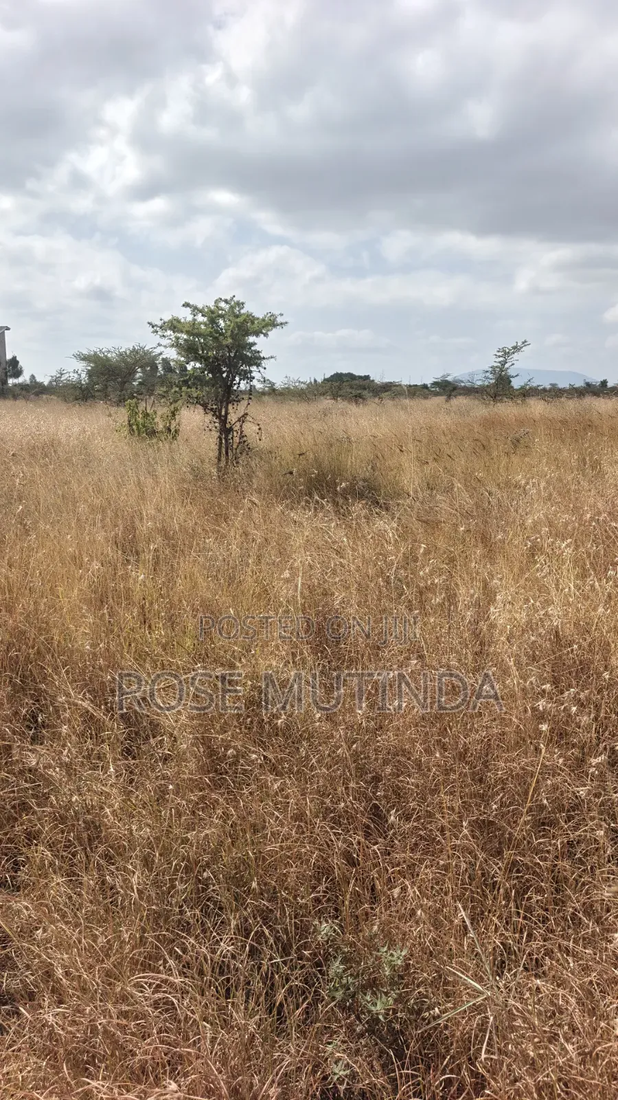 2acres at Koma Kangundo Road in Koma Hills Area