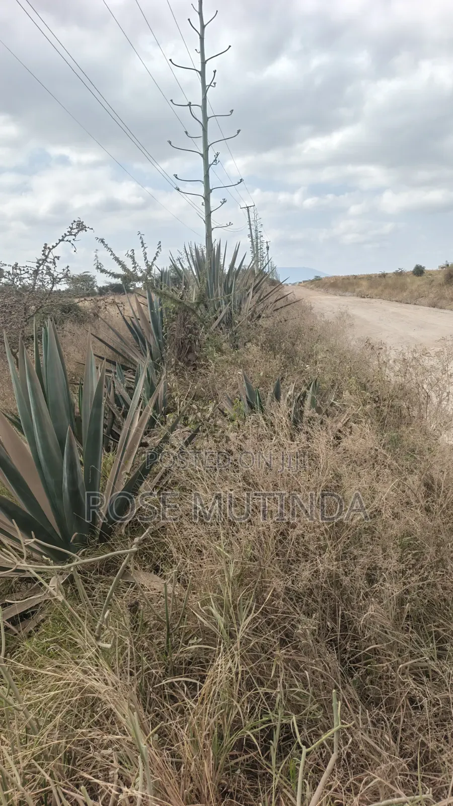 2acres at Koma Kangundo Road in Koma Hills Area