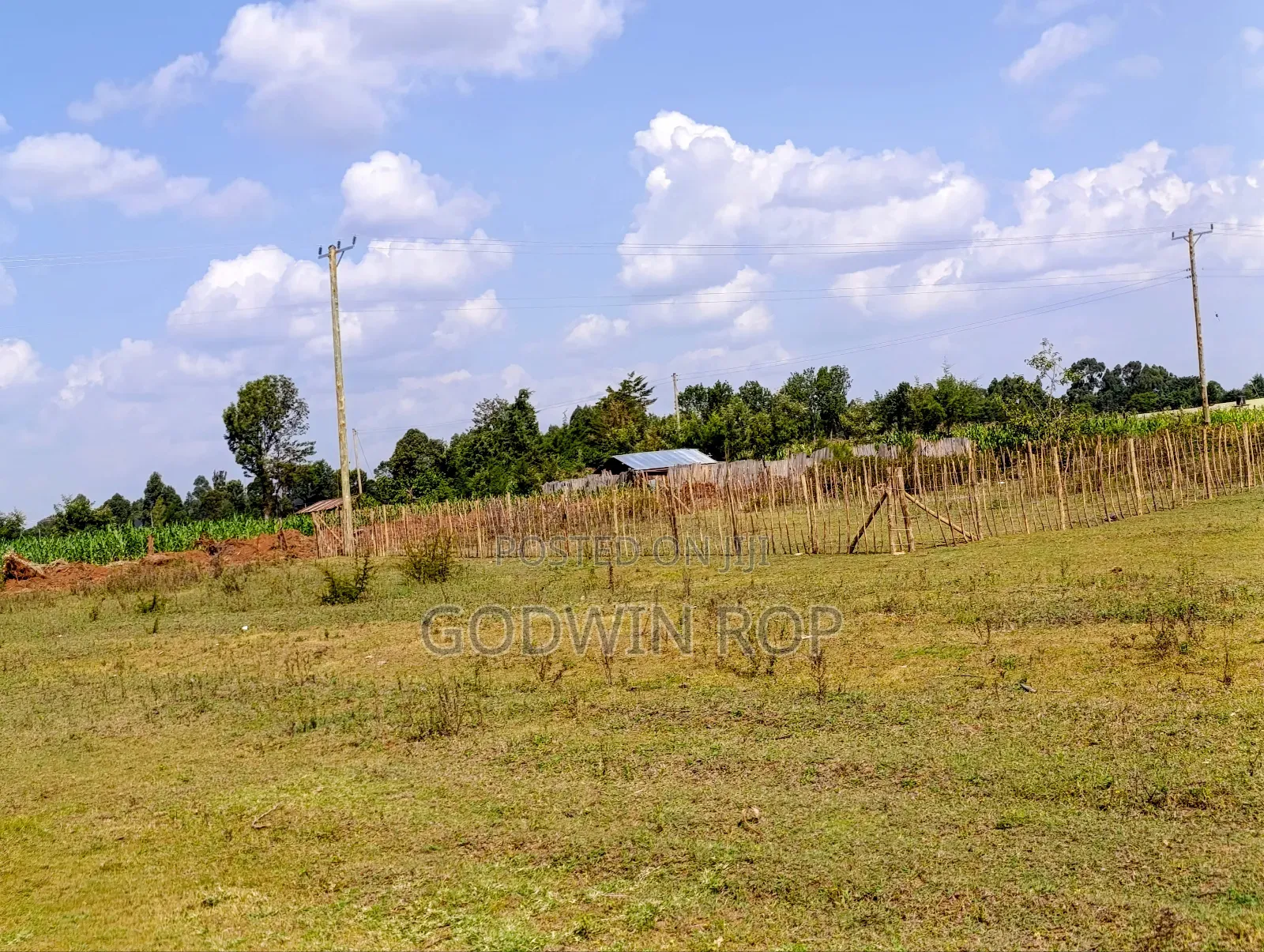 Plots for Sale in Illula in Illula