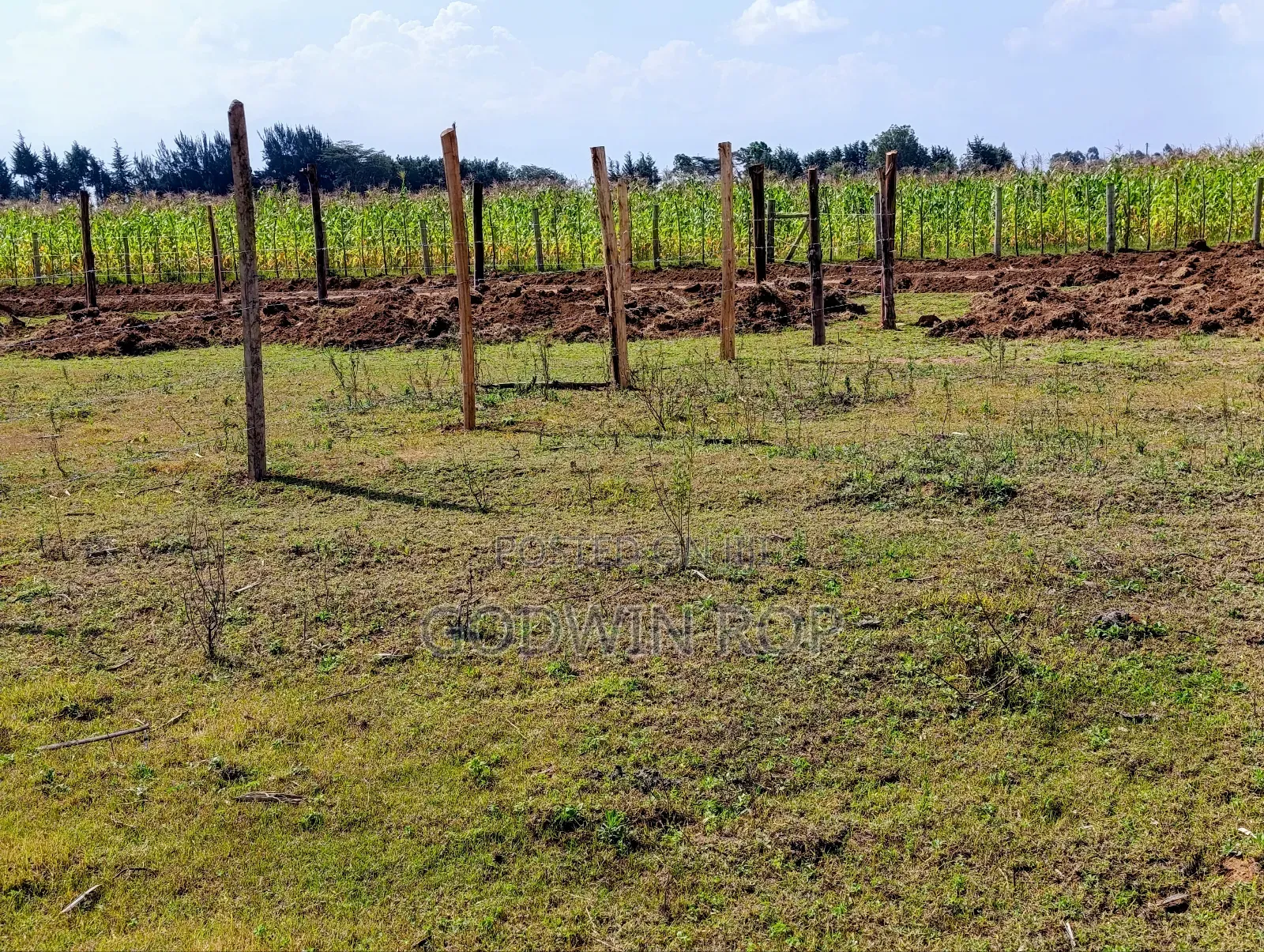 Plots for Sale in Illula in Illula