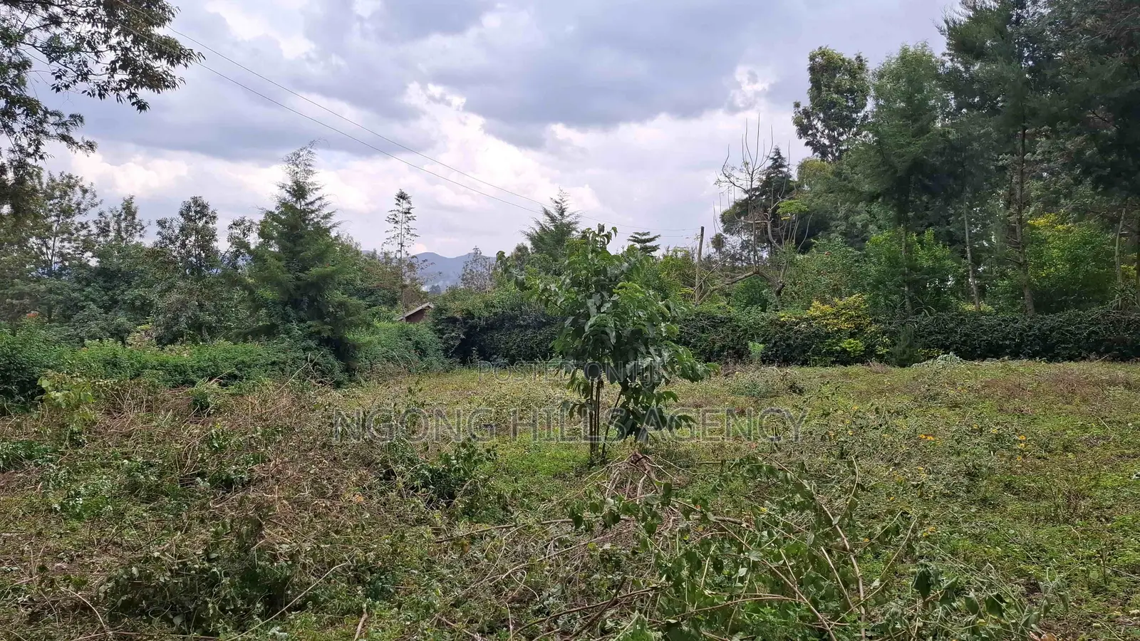 Prime 100 X 100 Plot for Sale: Olkeri in Ol Keri