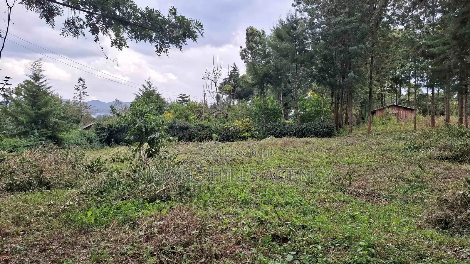 Prime 100 X 100 Plot for Sale: Olkeri in Ol Keri