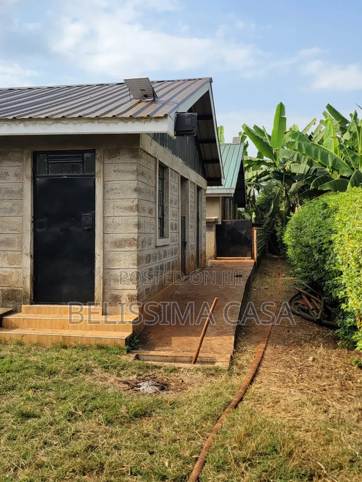 4 Acre Producing Hass Avocado Farm | Kiamwangi | Gatundu South in Kiamwangi