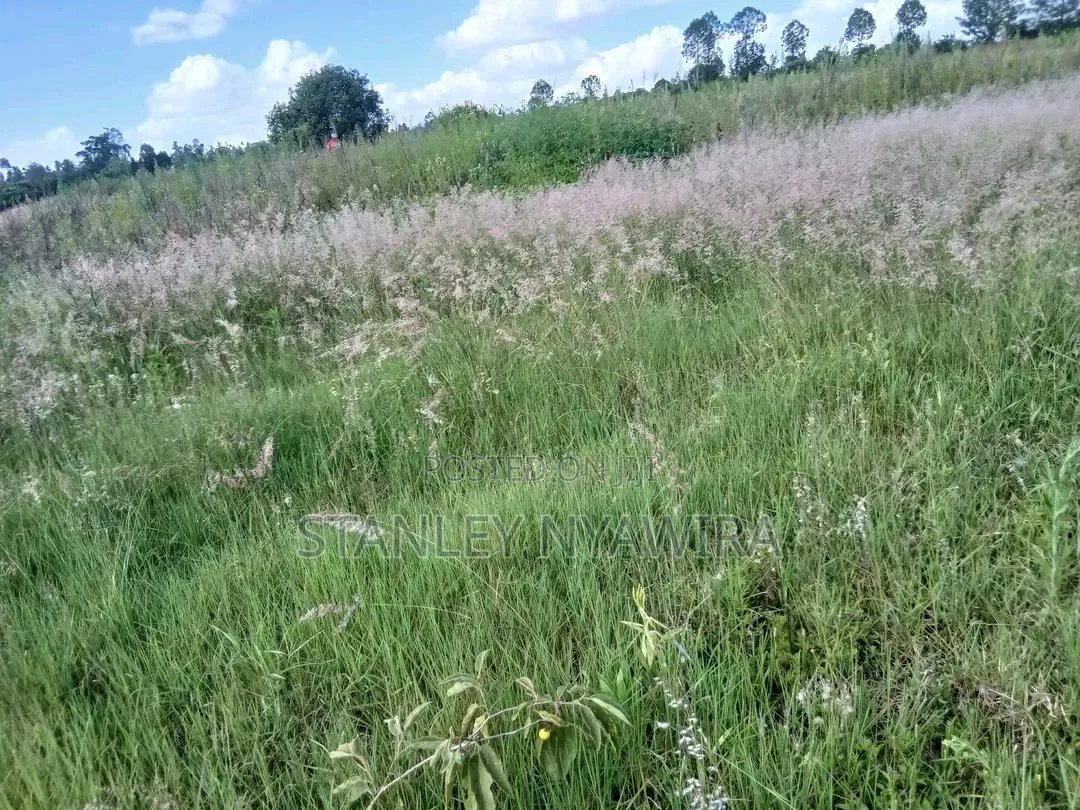 2 Acreas Nanyuki Daiga in Nanyuki