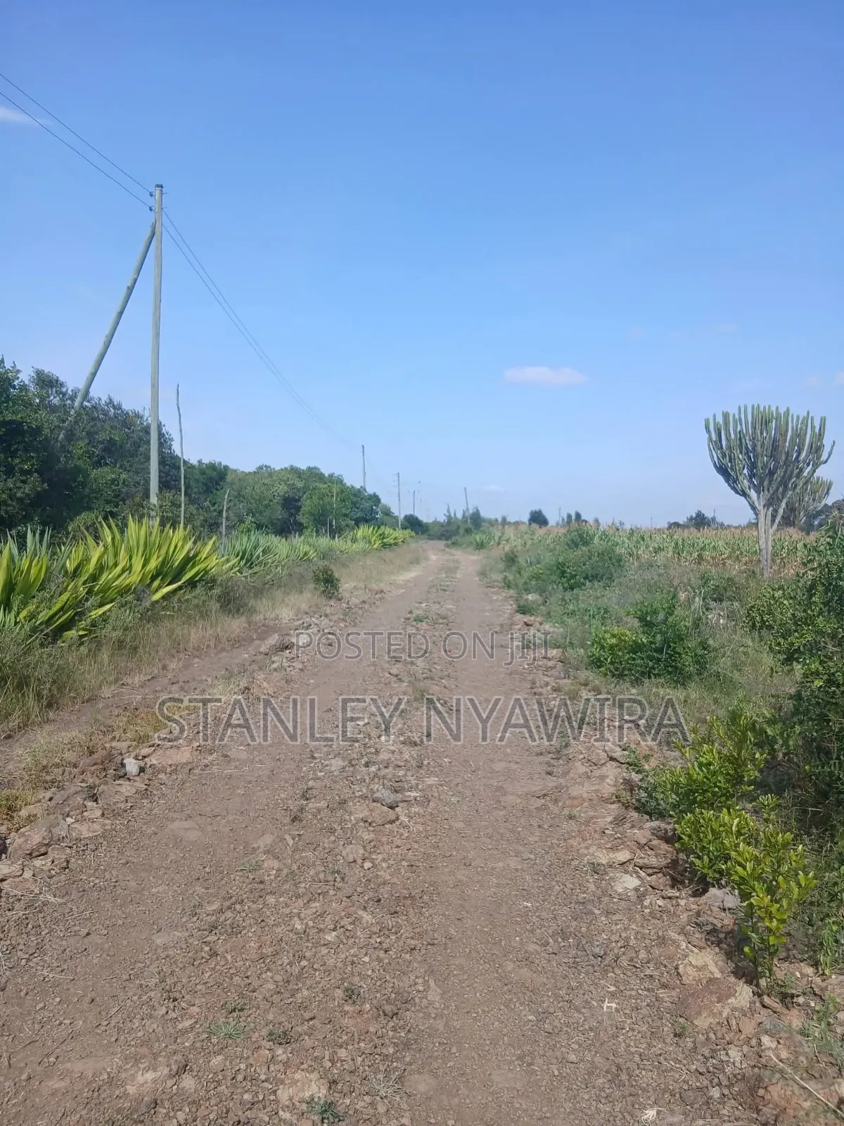 10 Acreas Nyeri Chaka in Nanyuki