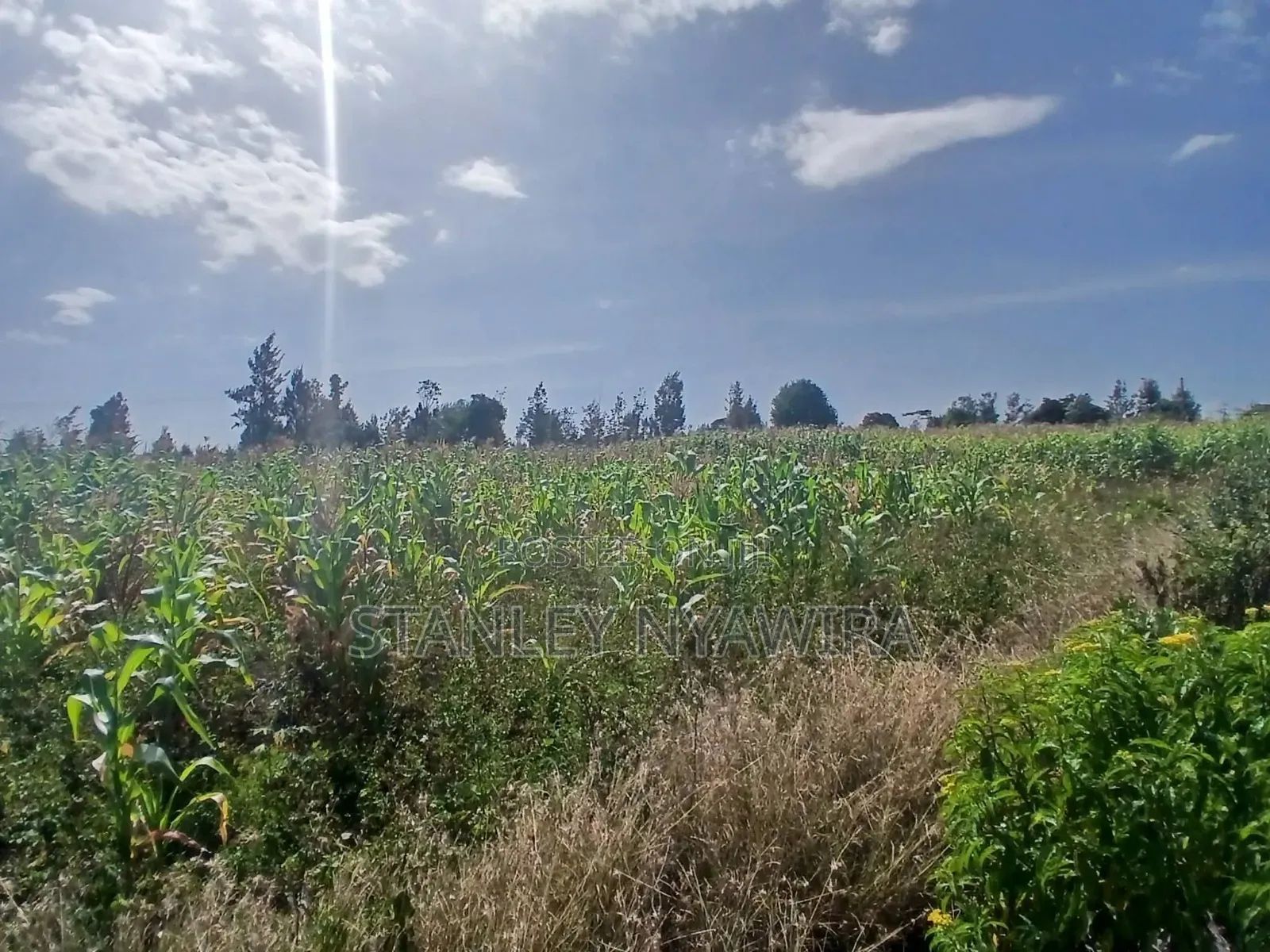 10 Acreas Nyeri Chaka in Nanyuki