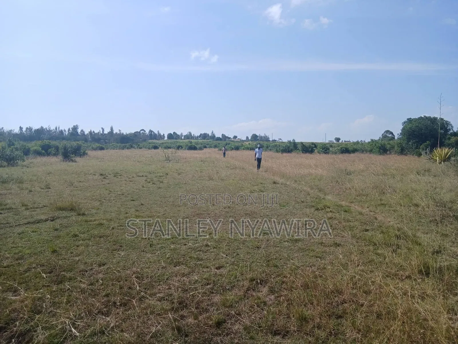 10 Acreas Nyeri Chaka in Nanyuki