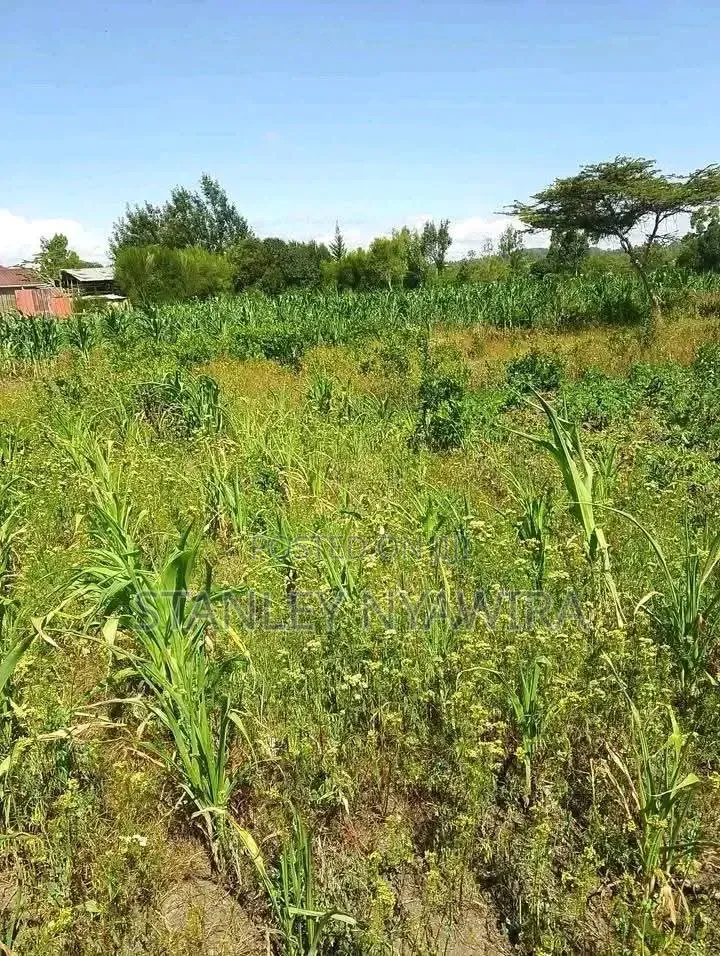 3.5 Acrea Nanyuki Mirere in Nanyuki