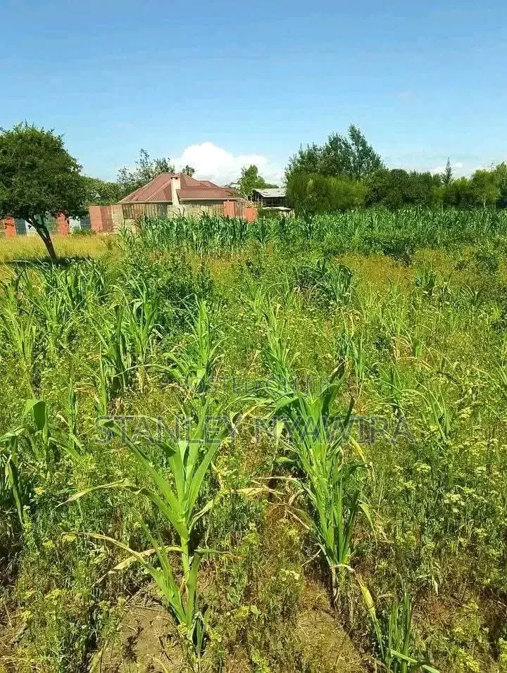 3.5 Acrea Nanyuki Mirere in Nanyuki