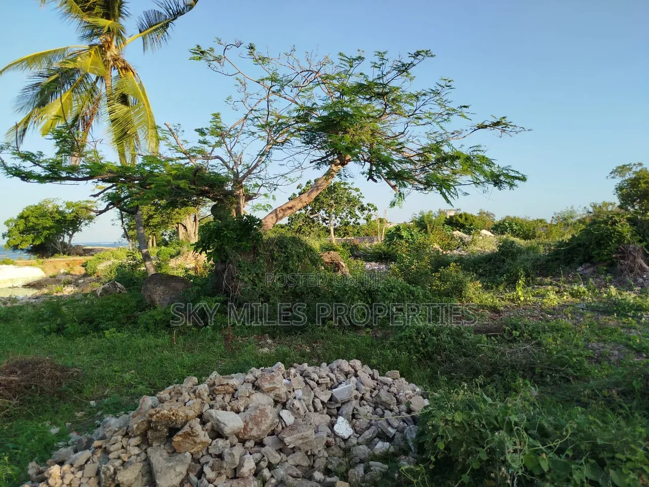 Malindi Casuarina, 7 Acres Beach Plot Available for Sale in Town Centre