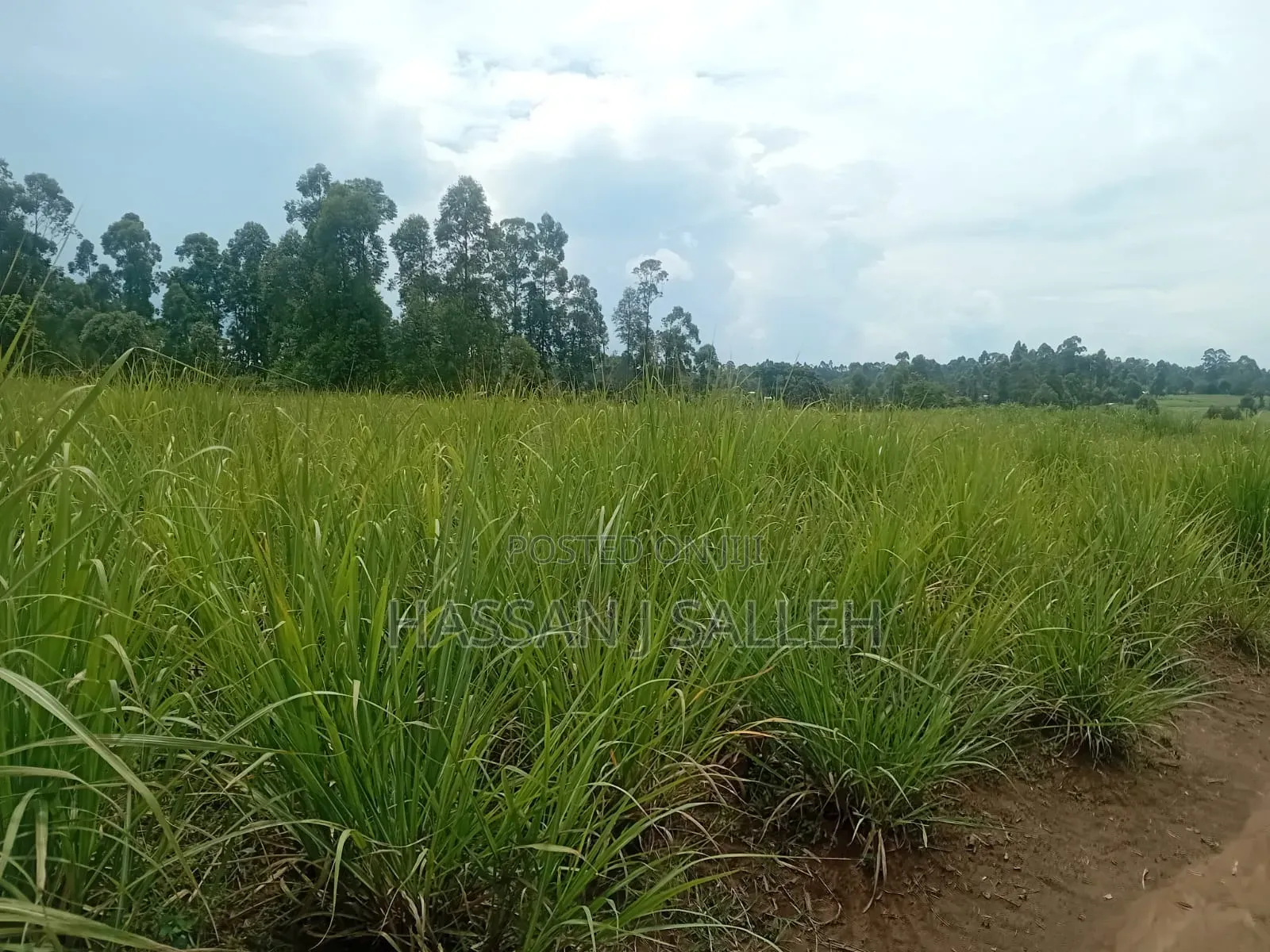 10 for Sale Trans Nzoia in Kimilili