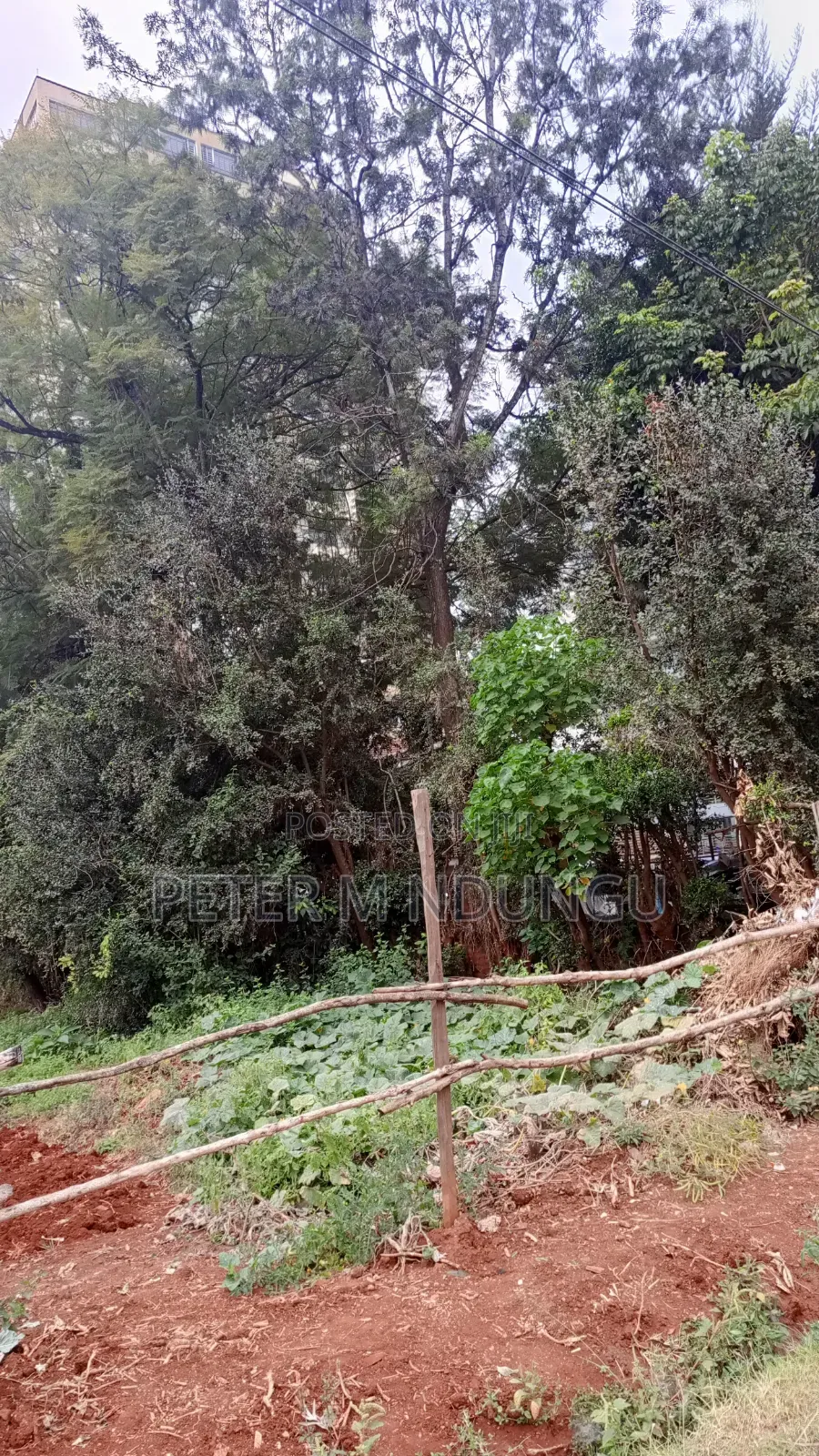 Garden Estate Roosters-Commercal 1/2 Acre for Hightise Apartments in Kiambu / Kiambu 