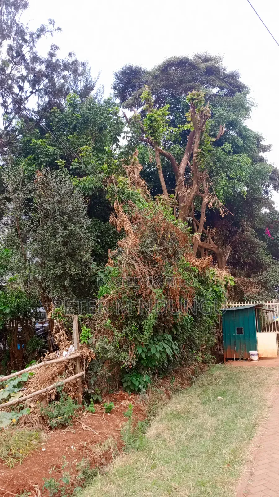 Garden Estate Roosters-Commercal 1/2 Acre for Hightise Apartments in Kiambu / Kiambu 