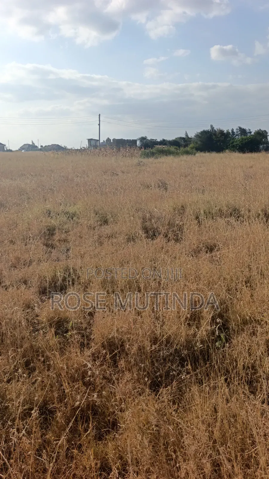 50 by 82 at Kadafu in Malaa