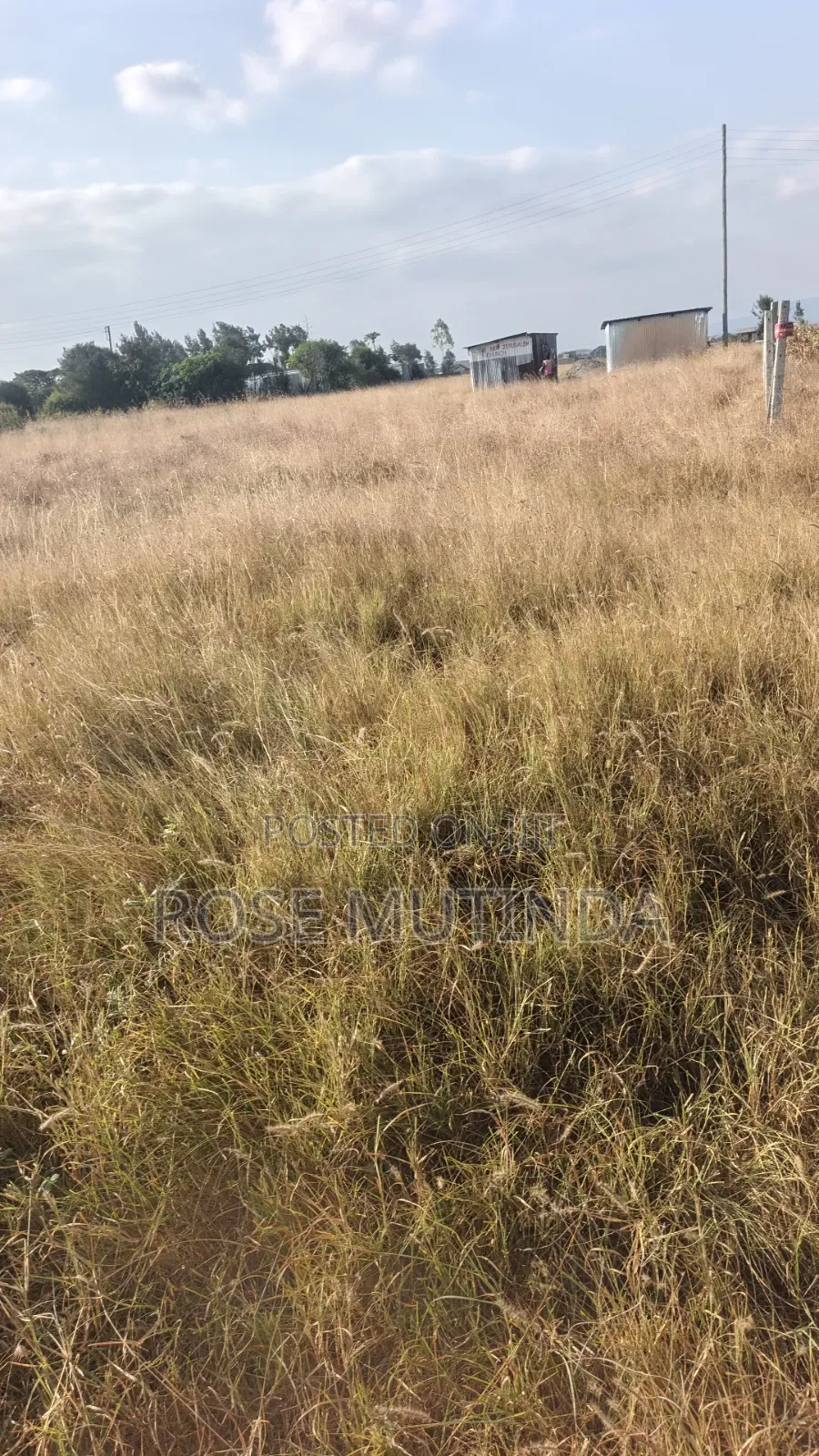 50 by 82 at Kadafu in Malaa