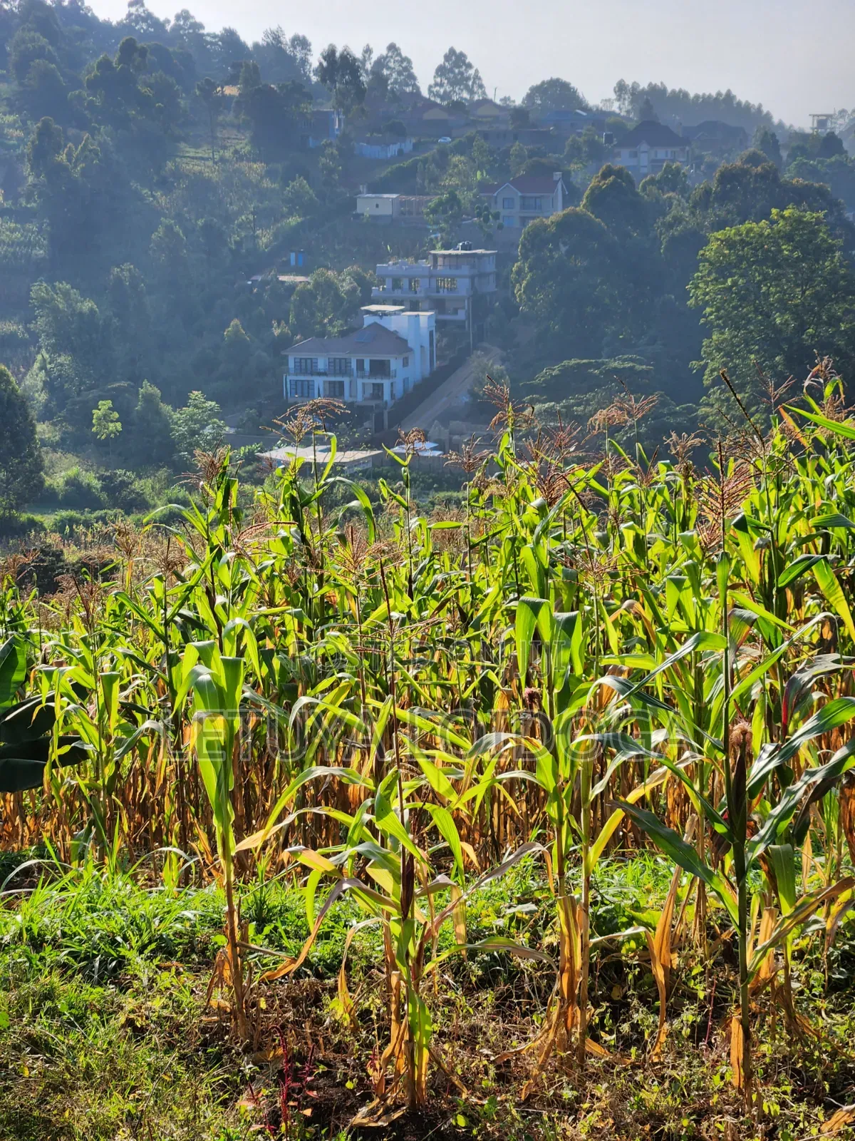 1⁄8 Acre Ngong ( Ngonghills Road) in Ngong CBD