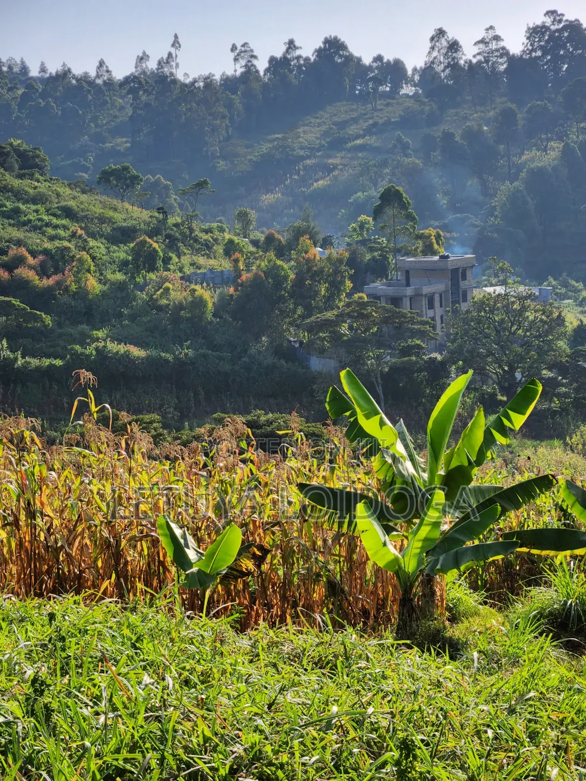 1⁄8 Acre Ngong ( Ngonghills Road) in Ngong CBD