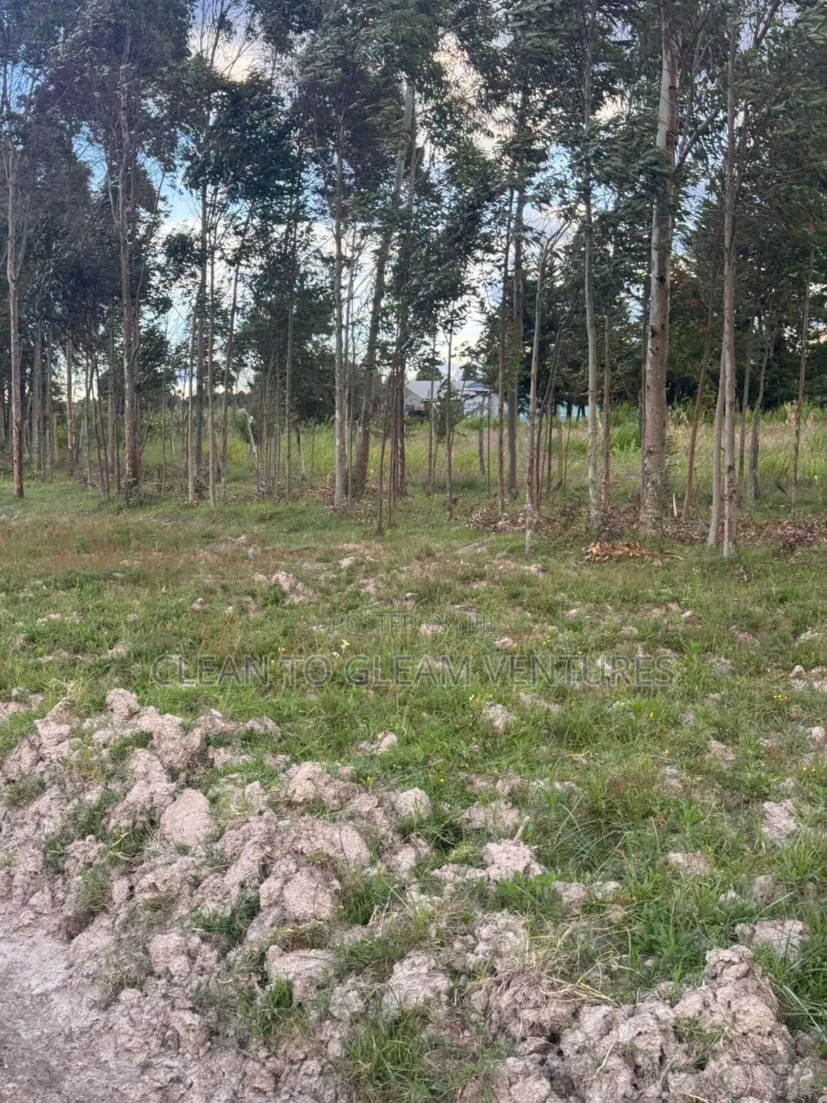 1 Acre Land for Sale. Kinangop. Mawingu in North Kinangop