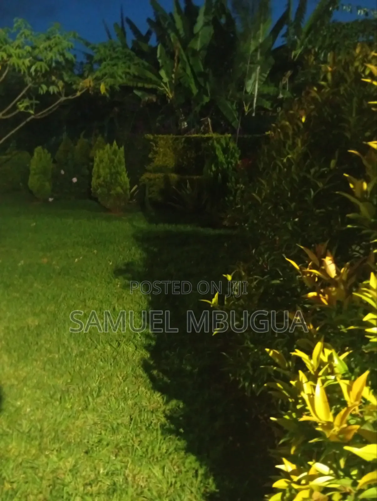 2bdrm Bungalow in Karen for rent in Karen