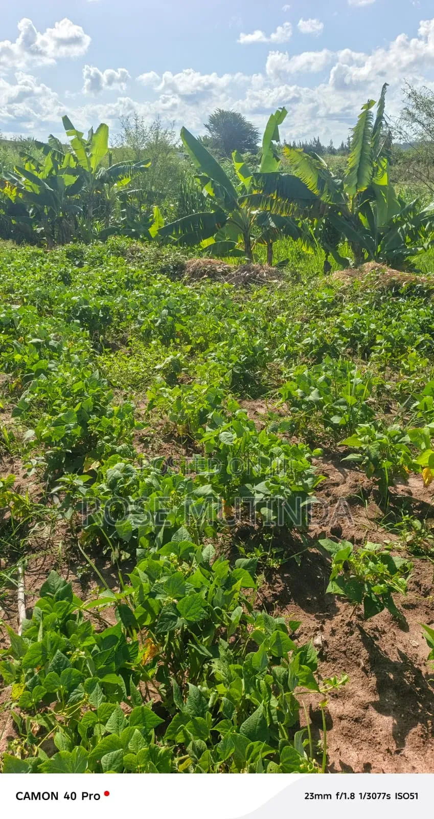 1acre at Kayatta in Tala