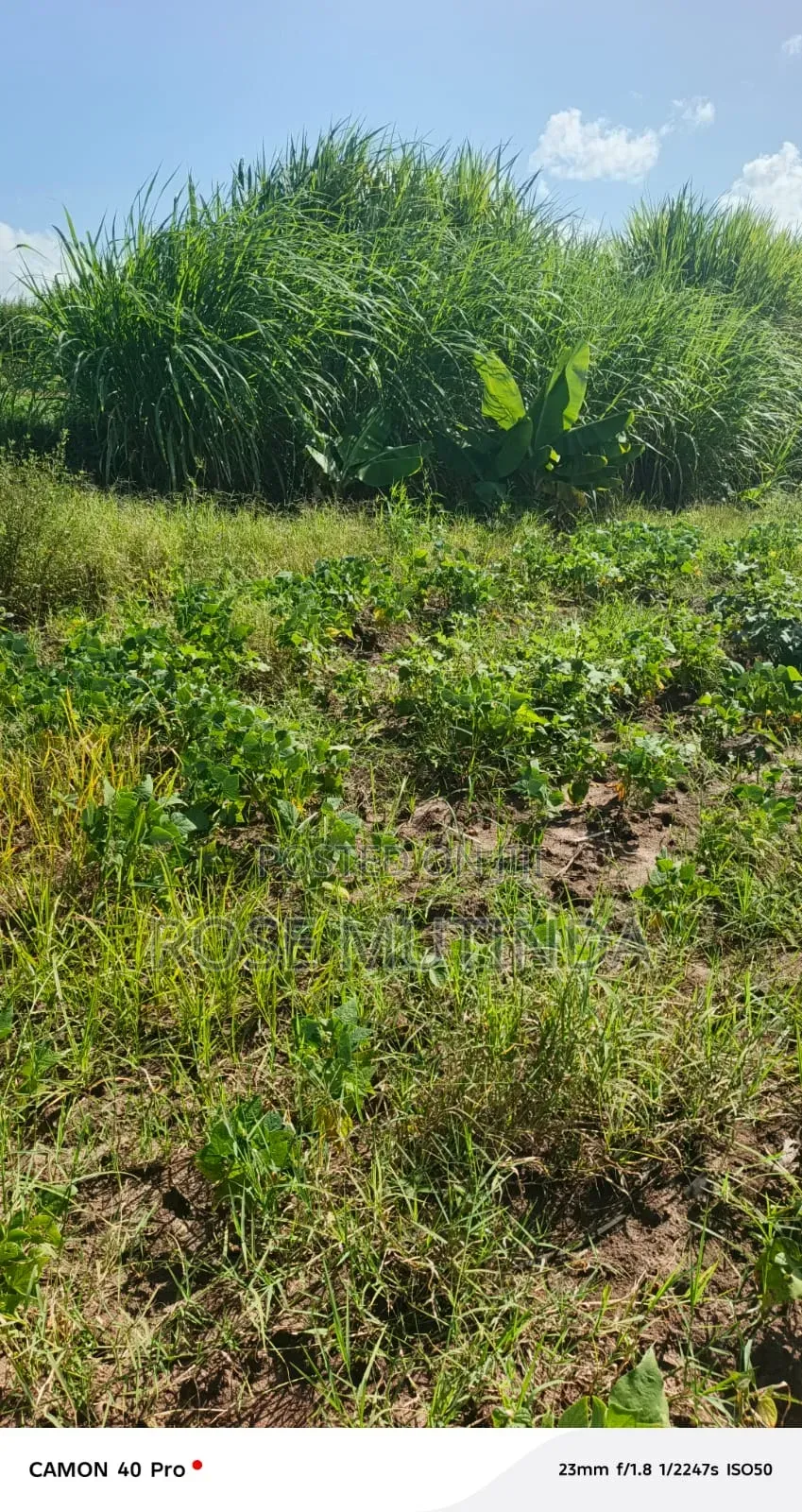 1acre at Kayatta in Tala