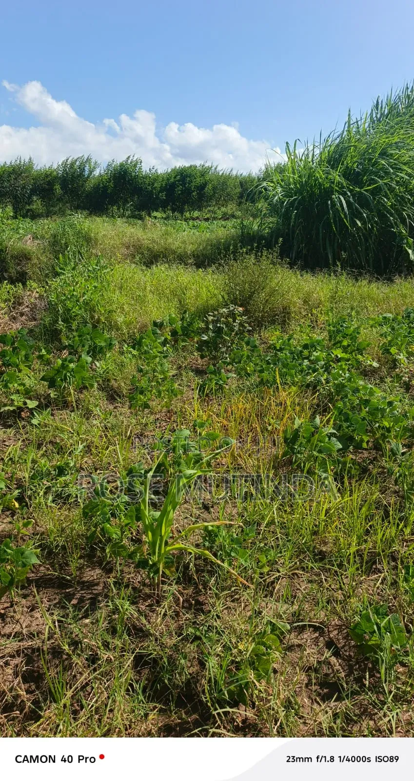 1acre at Kayatta in Tala
