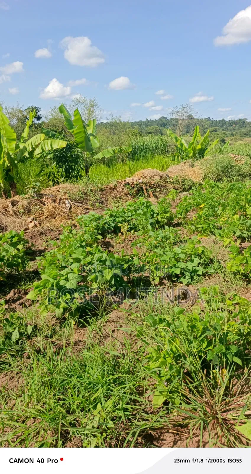 1acre at Kayatta in Tala