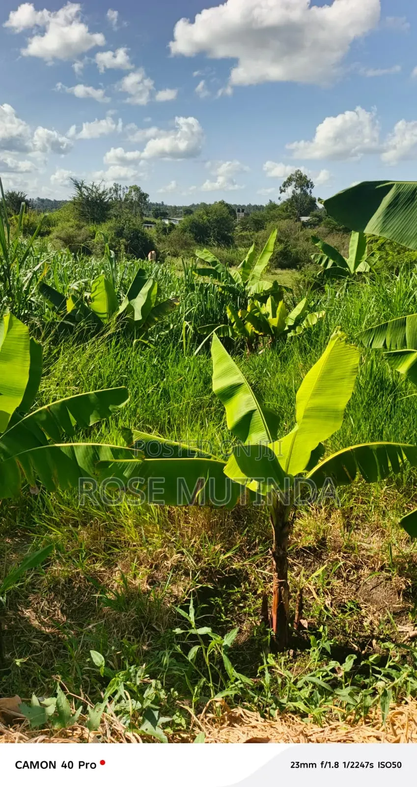 1acre at Kayatta in Tala