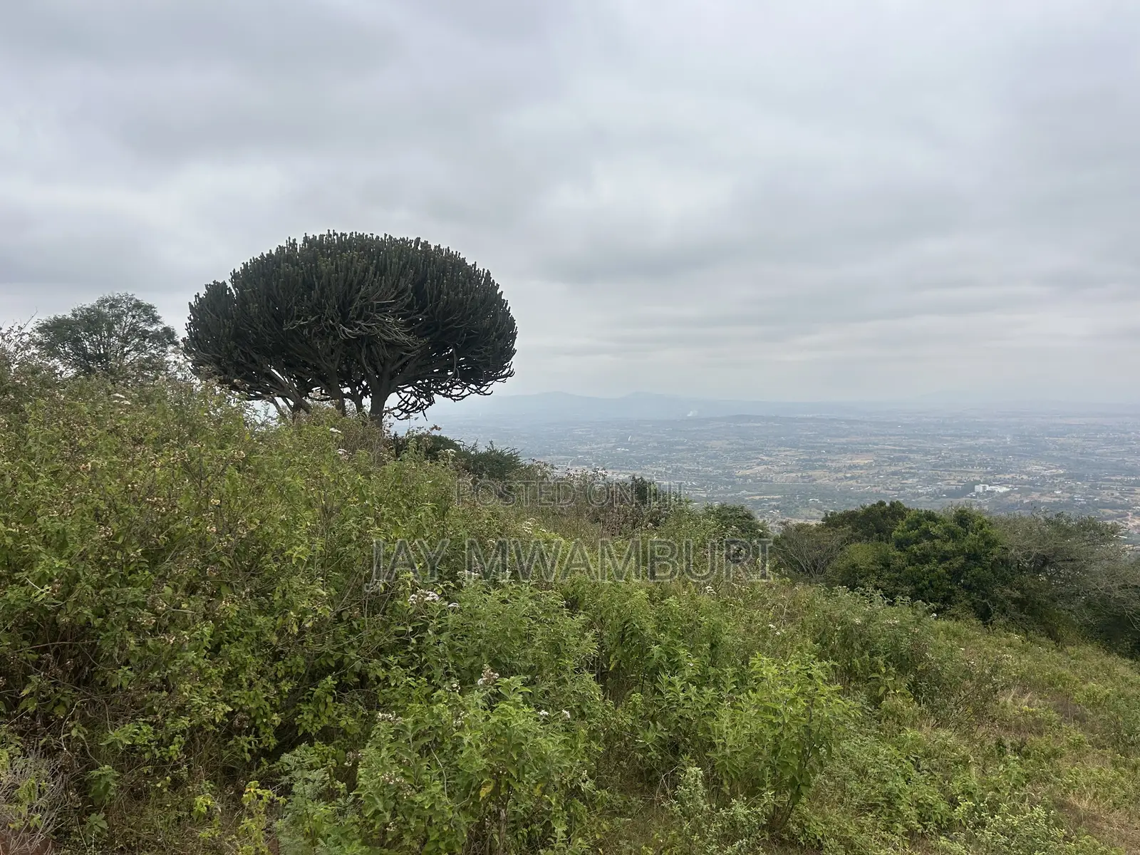 1 Acre Mua Hills Kitanga in Mua Hills