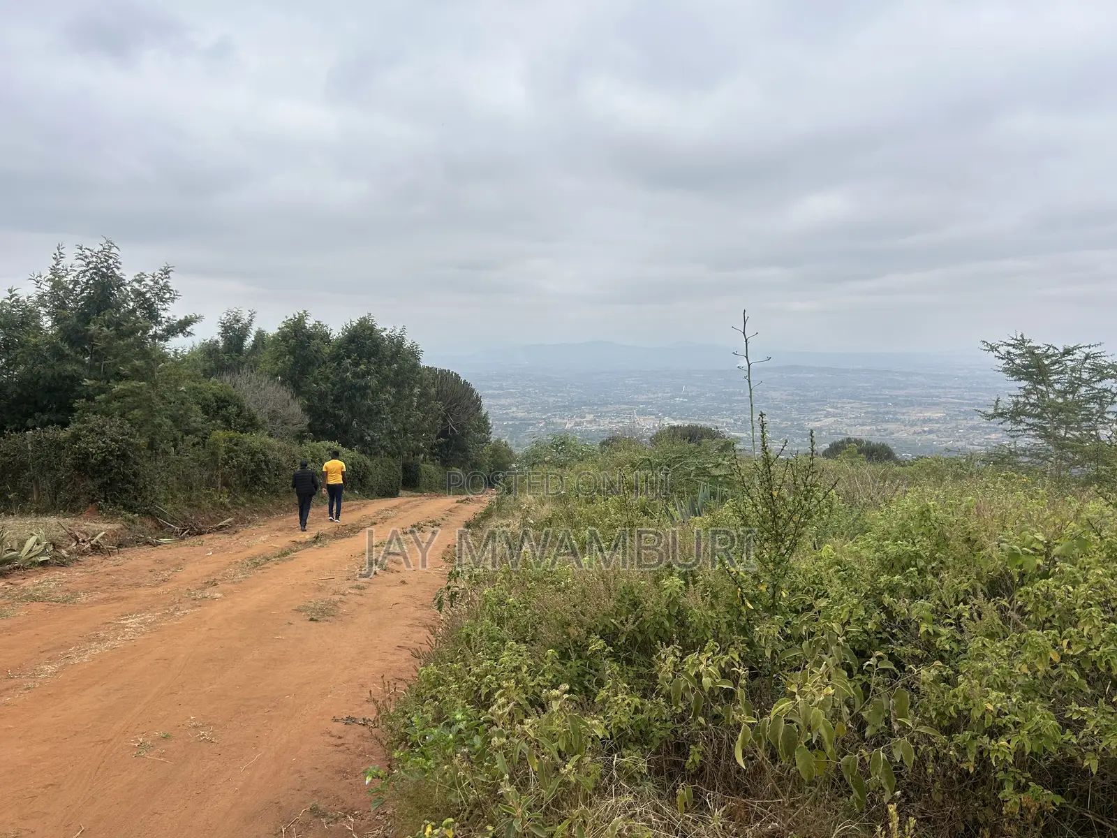 1 Acre Mua Hills Kitanga in Mua Hills